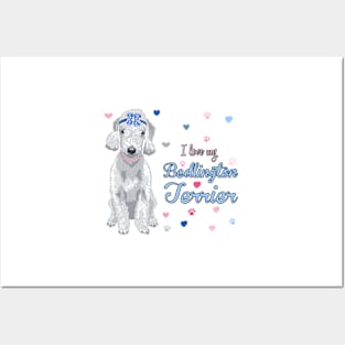 I Love My Bedlington Terrier! Especially for Bedlington Terrier Dog Lovers! Posters and Art